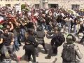 Ništa im nije sveto: Izraelci napali povorku i tukli ljude koji su nosili kovčeg sa tijelom ubijene novinarke (VIDEO)