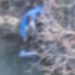 Potresan snimak spasavanja bebe iz Morače: Mališan plutao po hladnoj rijeci, izvadio ga radnik “Zelenila” (VIDEO)