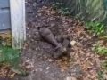 Pas iskopao metalni predmet u dvorištu kuće: Vlasnik se šokirao kad je shvatio o čemu je riječ (VIDEO)