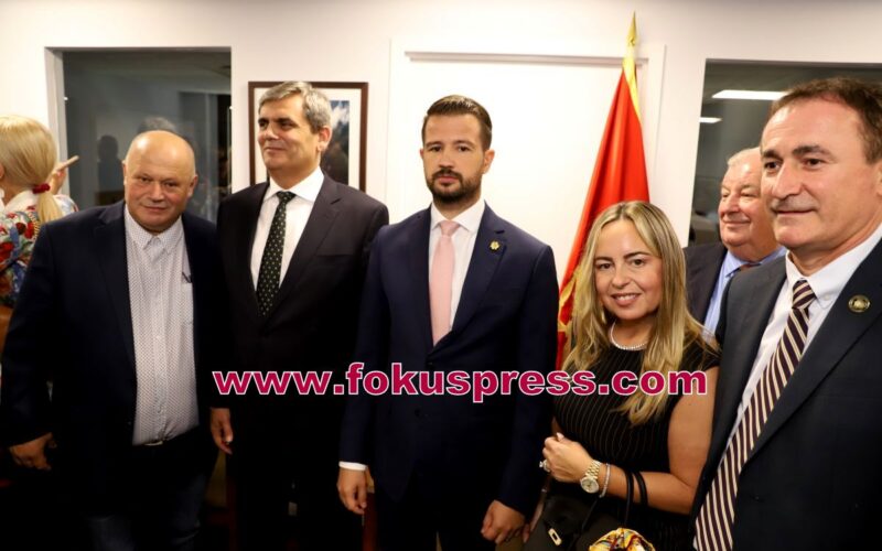 Stotinu naših iseljenika u Generalnom konzulatu: Zabrinutost zbog jačanja četničke ideologije u Crnoj Gori (VIDEO)