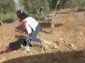 UZNEMIRUJUĆI VIDEO Jevrejski doseljenik palicom skoro nasmrt pretukao Palestinku: Američki novinar snimio brutalni napad na Zapadnoj obali
