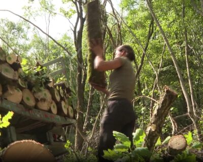 Sandra Bojanić za dan posječe kamion drva, utovari i vozi do odredišta: Traži momka koji umije da kuva i pere (VIDEO)