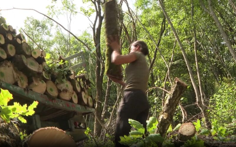 Sandra Bojanić za dan posječe kamion drva, utovari i vozi do odredišta: Traži momka koji umije da kuva i pere (VIDEO)
