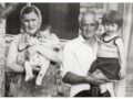KRŠ I RAVNICA (1):  Kako su Joko i Janica Šoć odnijeli svoju Dubovu u Lovćenac